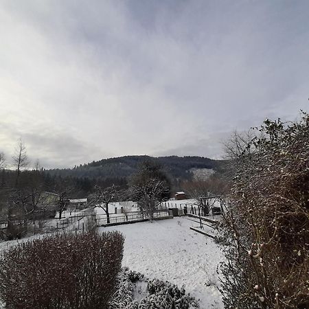 Chez Vovone 3 Etoiles Clevacances Saulxures-sur-Moselotte Buitenkant foto