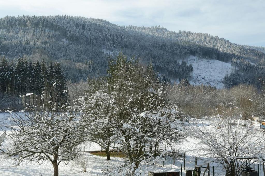 Chez Vovone 3 Etoiles Clevacances Saulxures-sur-Moselotte Buitenkant foto