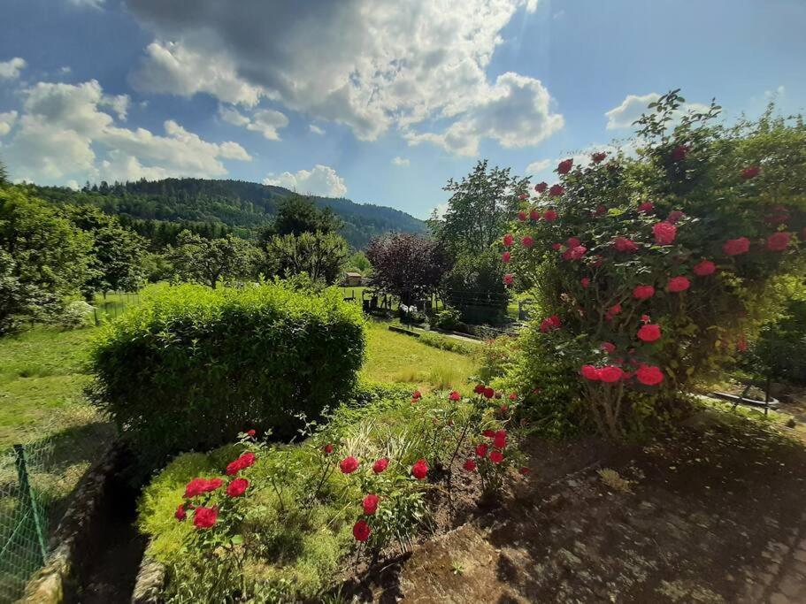 Chez Vovone 3 Etoiles Clevacances Saulxures-sur-Moselotte Buitenkant foto