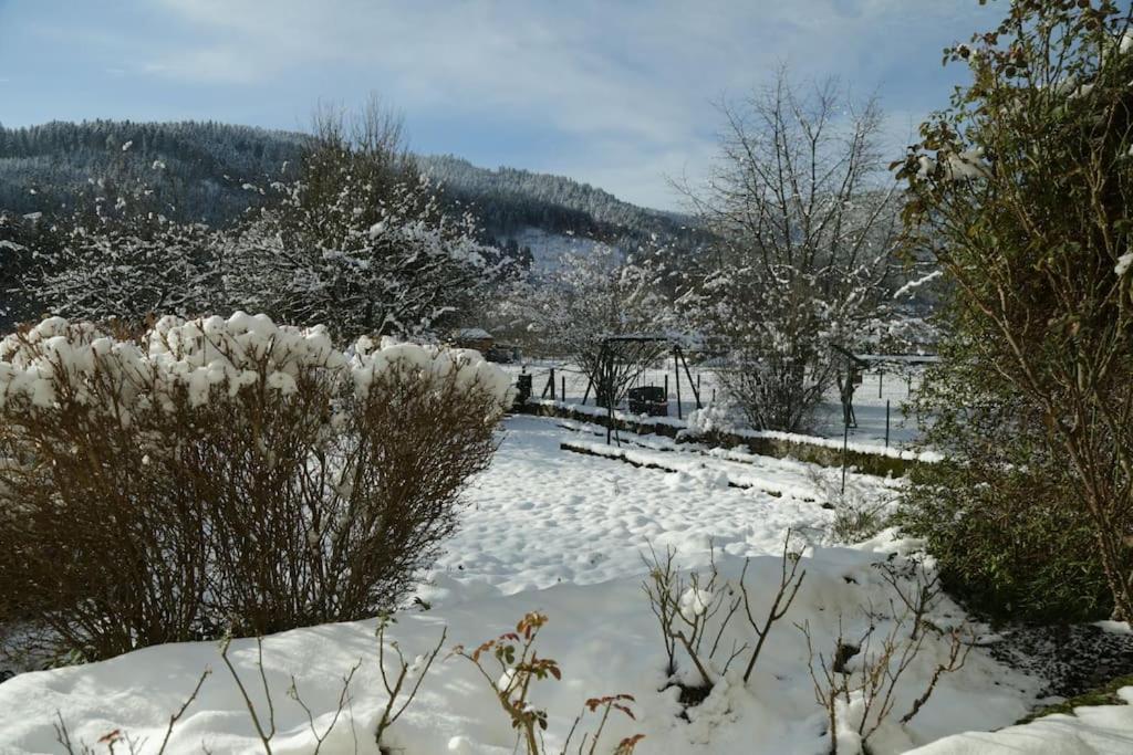 Chez Vovone 3 Etoiles Clevacances Saulxures-sur-Moselotte Buitenkant foto