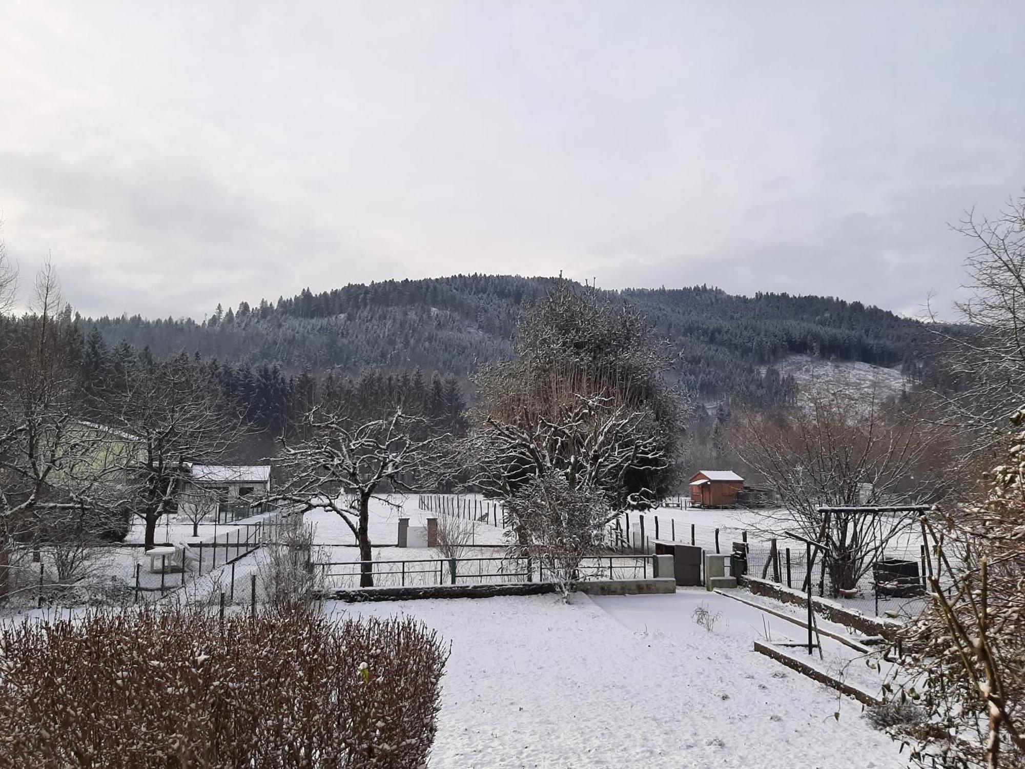 Chez Vovone 3 Etoiles Clevacances Saulxures-sur-Moselotte Buitenkant foto