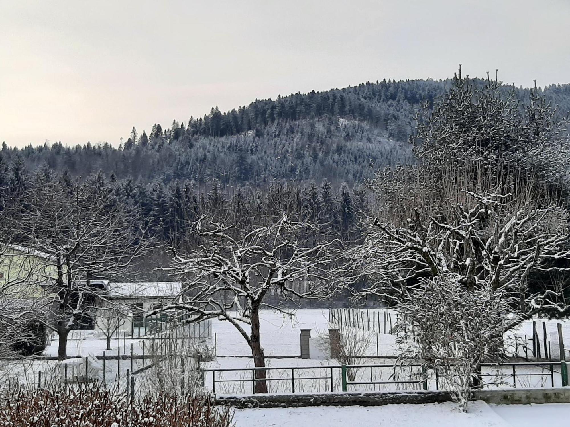 Chez Vovone 3 Etoiles Clevacances Saulxures-sur-Moselotte Buitenkant foto