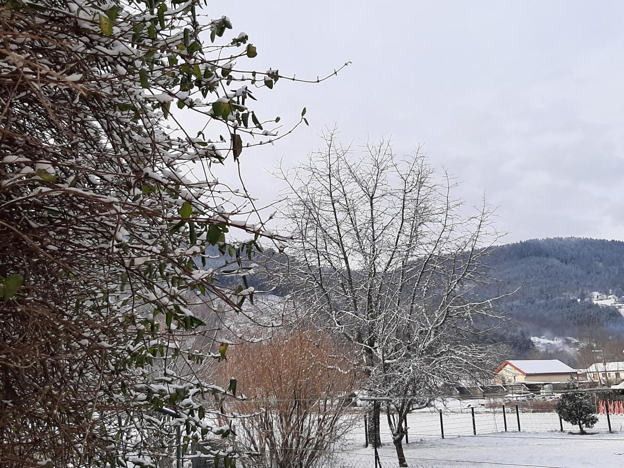 Chez Vovone 3 Etoiles Clevacances Saulxures-sur-Moselotte Buitenkant foto