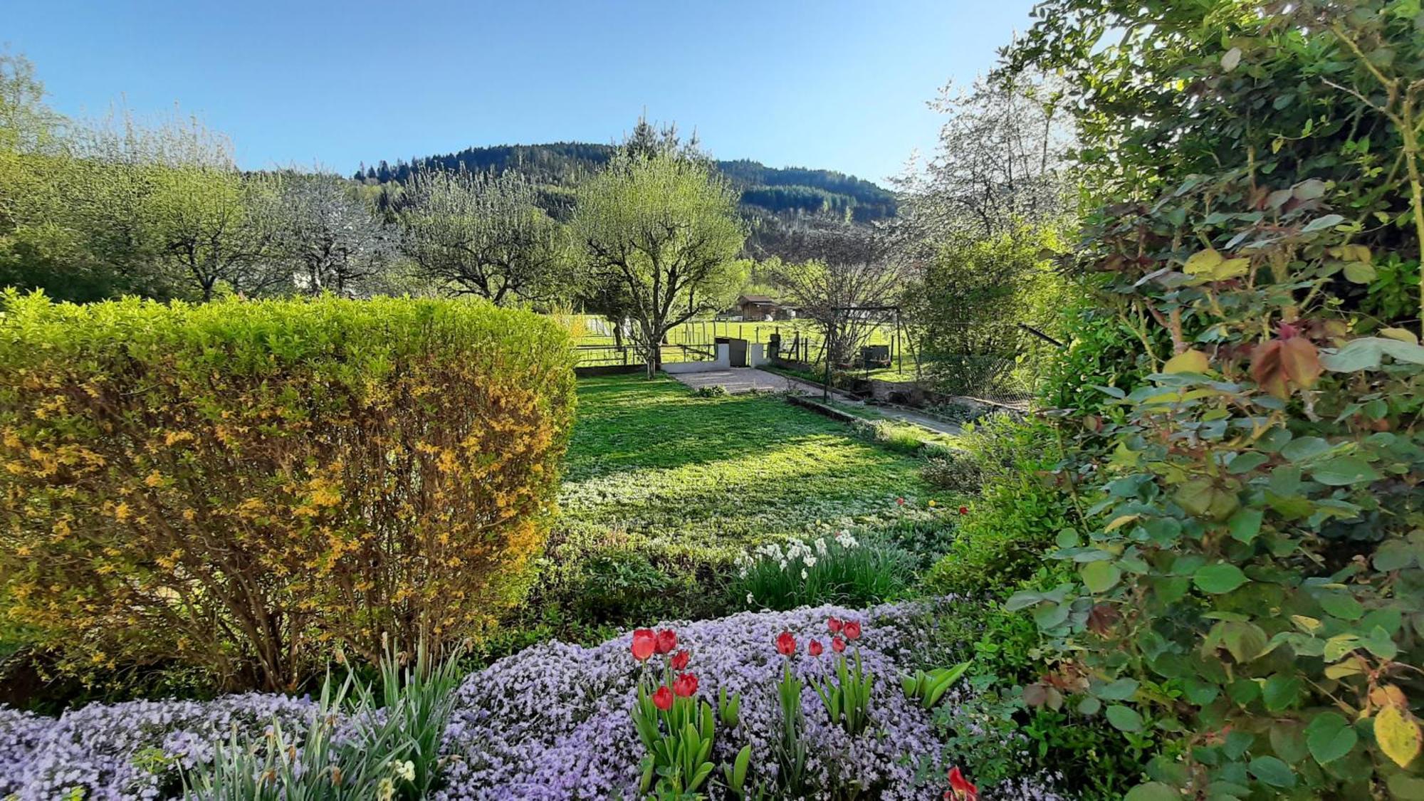 Chez Vovone 3 Etoiles Clevacances Saulxures-sur-Moselotte Buitenkant foto