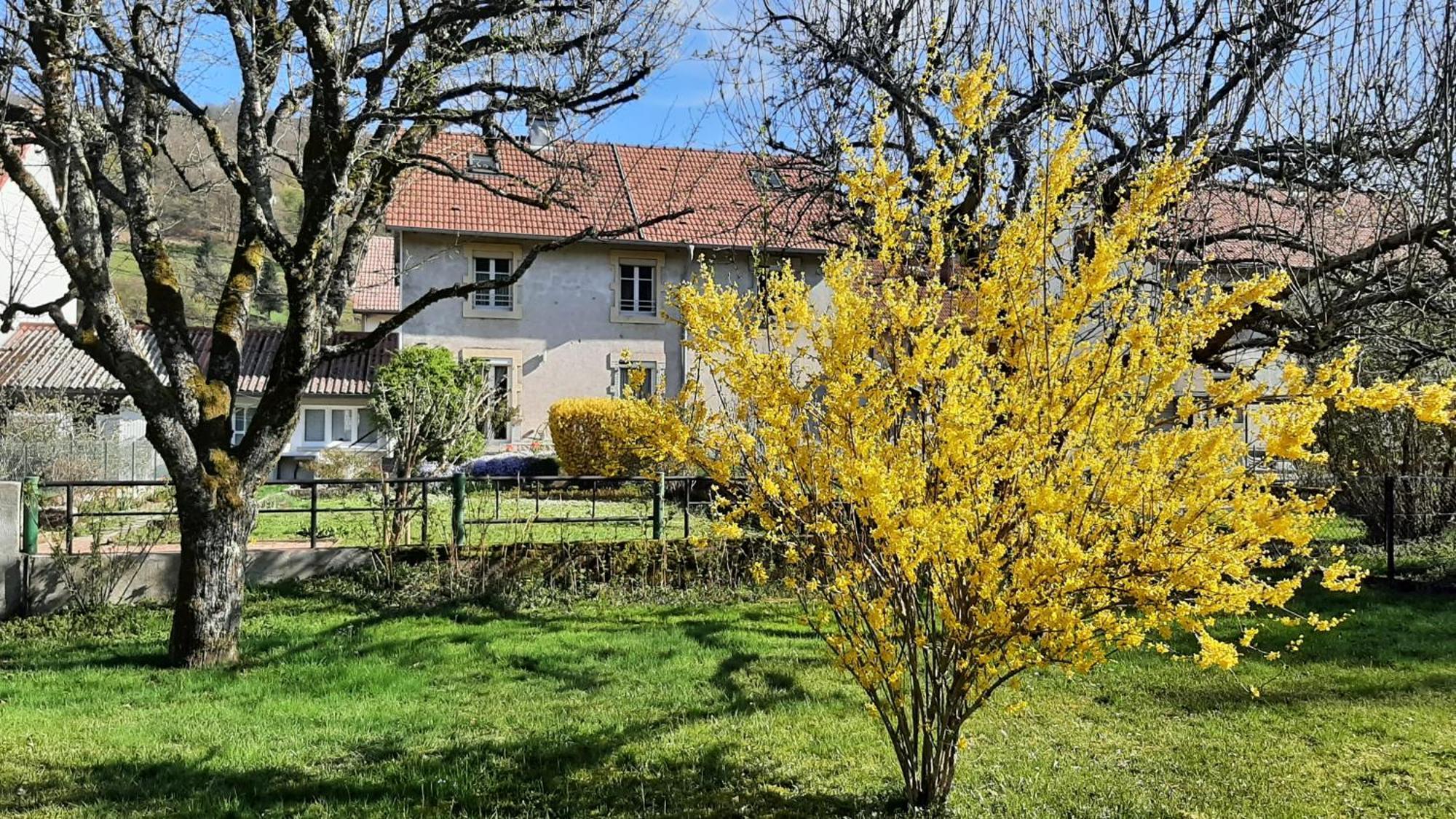 Chez Vovone 3 Etoiles Clevacances Saulxures-sur-Moselotte Buitenkant foto